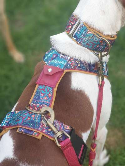 Selbstgemachte Artikel für Hunde-Beitrag-Bild