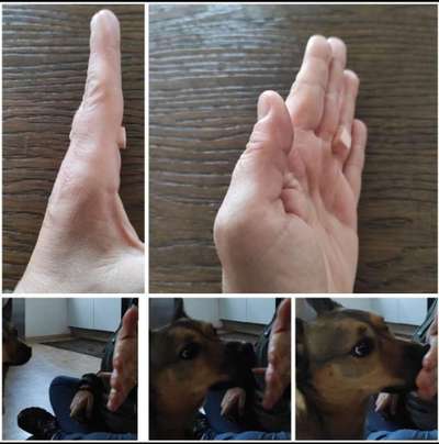 FUN AUFGABEN TOUR-Beitrag-Bild