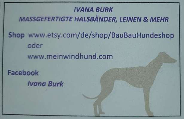 Windhunde - Treffen der besonderen Schönheiten
HERZLICH WILLKOMMEN-Beitrag-Bild