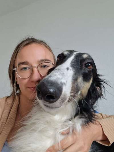 Hundetreffen-Gassi-Freunde gesucht-Bild