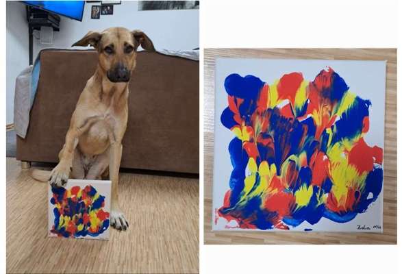 Handy Foto Challenge Nr 48: Hund und Kunst-Beitrag-Bild