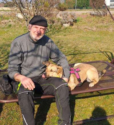 36. Handy Foto Challenge - Sonnenanbeter-Beitrag-Bild