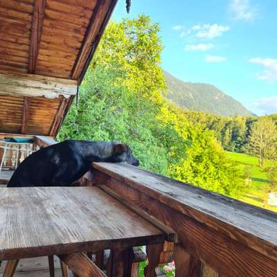 Fotochallenge Nr 107-Beitrag-Bild