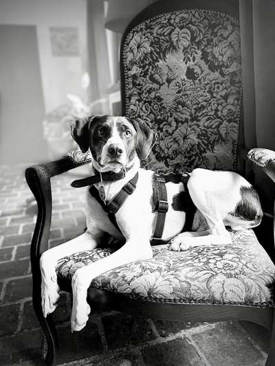 Foto-Challenge 76: Foto in Schwarz-Weiss-Beitrag-Bild