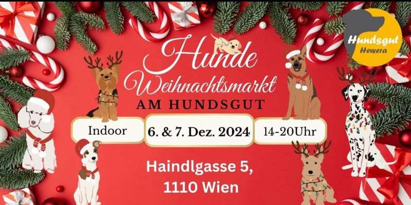 Giftköder-Hundweihnachtsmarkt & Hundelauf-Bild