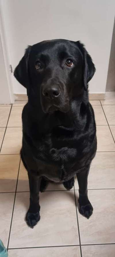 Doppelgänger gesucht !-Beitrag-Bild