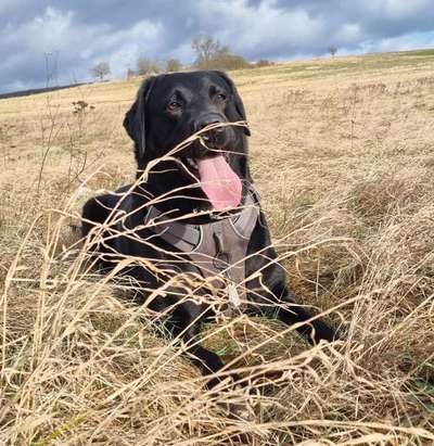 Doppelgänger gesucht !-Beitrag-Bild