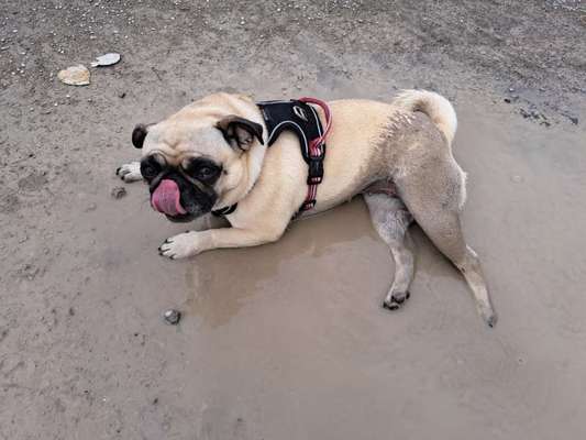 Handyfoto challenge Nr. 13: Waschlappen raus!-Beitrag-Bild