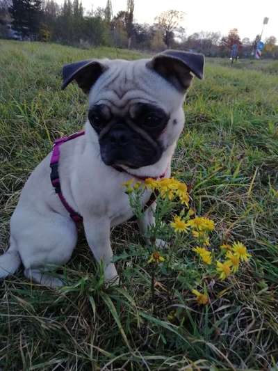 Was können eure Ohren so? ;)-Beitrag-Bild