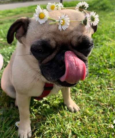 Handy-Foto-Challange Nr.9-Beitrag-Bild