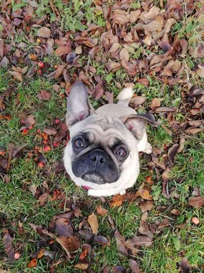 Handy-Foto Challange Nr. 10-Beitrag-Bild