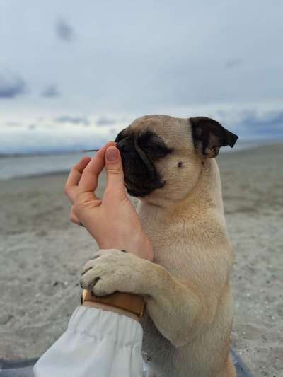 Lieblingsbild-Beitrag-Bild