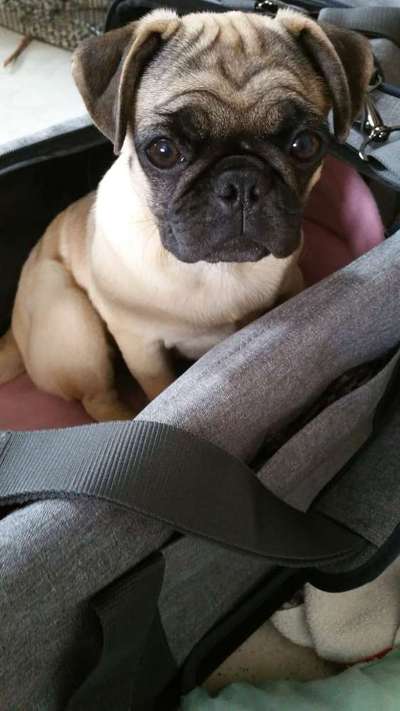 Was können eure Ohren so? ;)-Beitrag-Bild