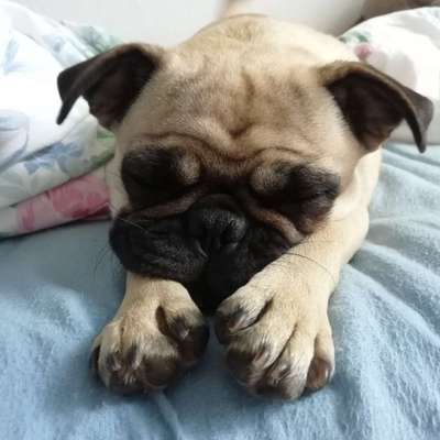 FOTO-Challenge  NR. 91: Die pure Entspannung-Beitrag-Bild