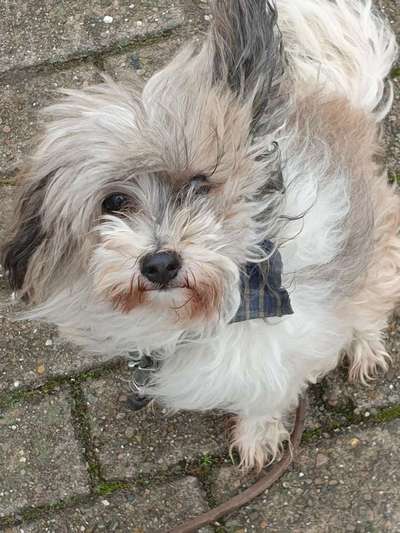 Fotochallange Nr. 57     PORTRÄT.   Beendet!!!!!!!!-Beitrag-Bild