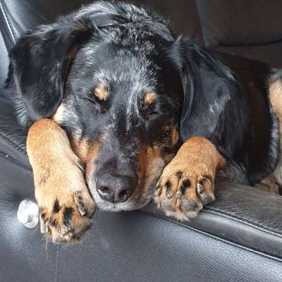 Fotochallange Nr. 57     PORTRÄT.   Beendet!!!!!!!!-Beitrag-Bild