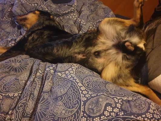 Fotochallenge Nr.65-Beitrag-Bild