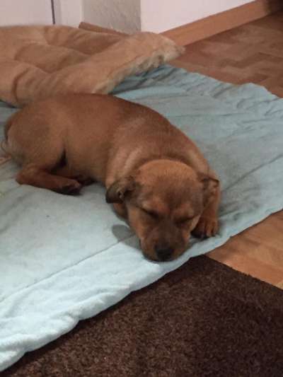 Sie werden so schnell erwachsen ...-Beitrag-Bild