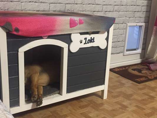 CHALLENGE NR. 34 - Liege-/Schlafpositionen-Beitrag-Bild