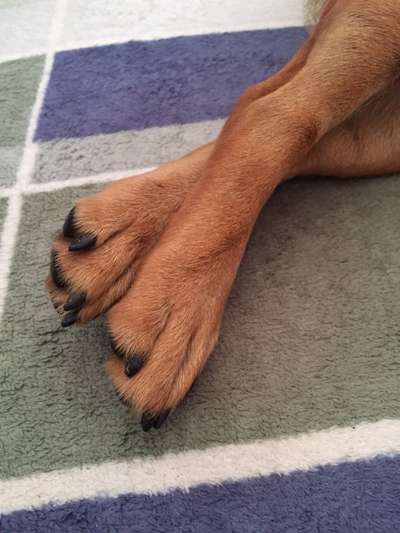 Blick fürs Detail!-Beitrag-Bild