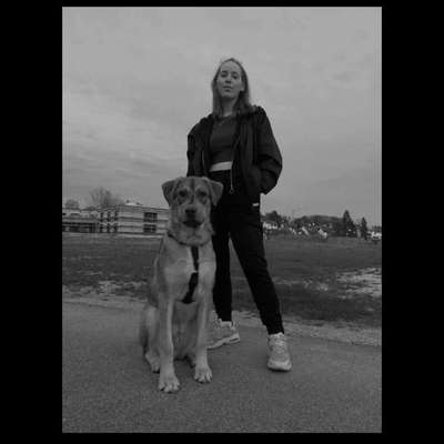 Hundetreffen-Gassi in Treuchtlingen