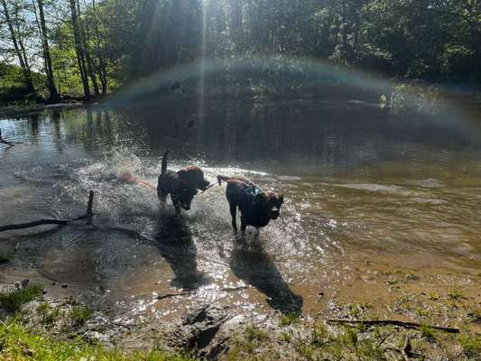 Bright side of life! Schönwetter-Thread-Beitrag-Bild
