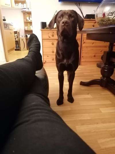 Ist das ein...?-Beitrag-Bild