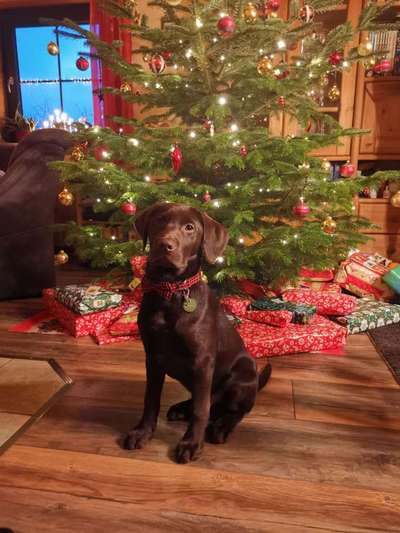 Lieblingsbild-Beitrag-Bild