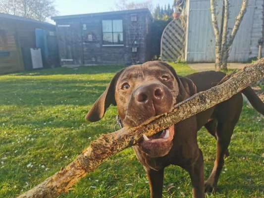 Fotochallenge 78

Es grünt und blüht-Beitrag-Bild