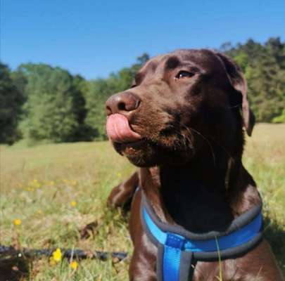 Tongue Out Tuesday-Beitrag-Bild