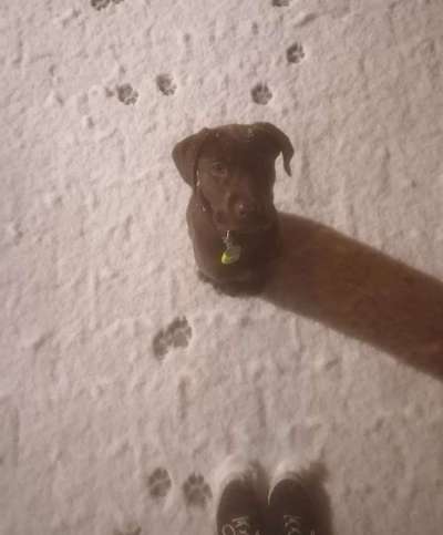 Der erste Schnee, zeigt uns eure tollen Schneemomente-Beitrag-Bild