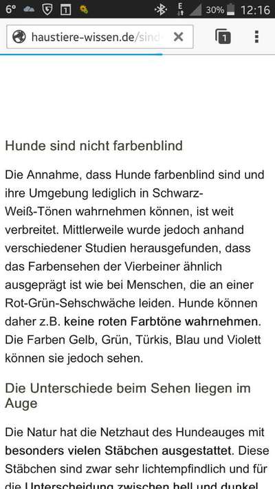 Farben lernen-Beitrag-Bild