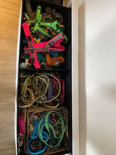 Wieviel Geschirre und Leinen habt Ihr?-Beitrag-Bild