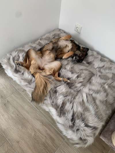 Erfahrung mit Wolkenbett-Beitrag-Bild