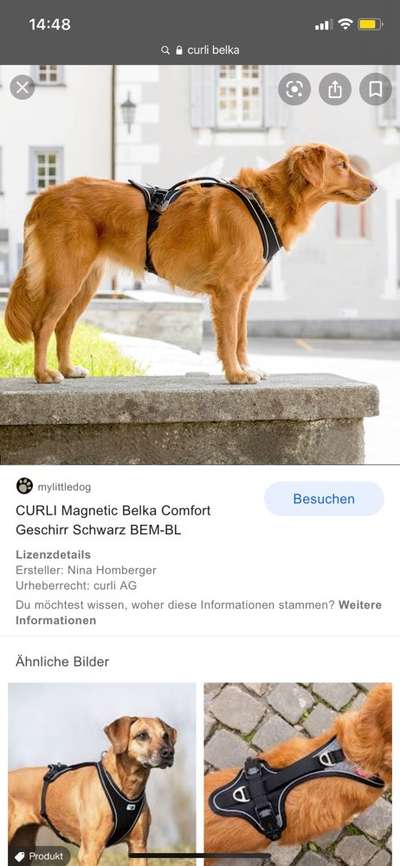 Hundegeschirr fürs Wandern-Beitrag-Bild