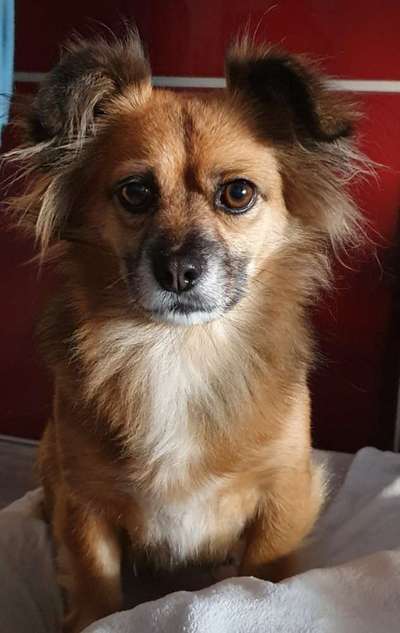 Fotochallange Nr. 57     PORTRÄT.   Beendet!!!!!!!!-Beitrag-Bild