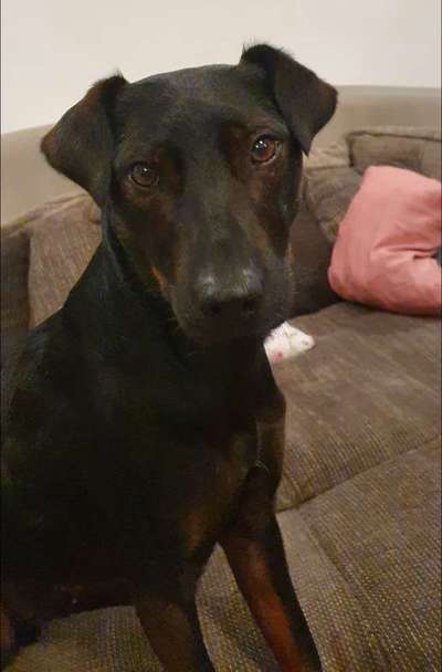 Fotochallange Nr. 57     PORTRÄT.   Beendet!!!!!!!!-Beitrag-Bild