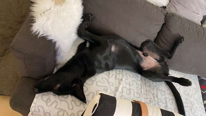 Die unbequemsten und lustigsten Schlafpositionen-Beitrag-Bild