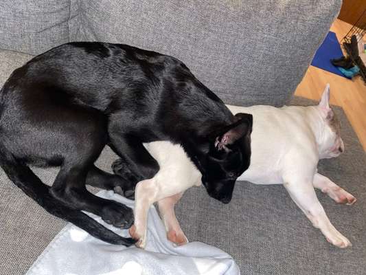 Die unbequemsten und lustigsten Schlafpositionen-Beitrag-Bild