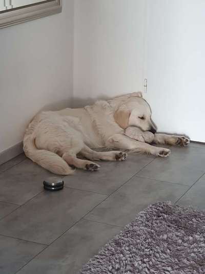 Schlafen-Beitrag-Bild