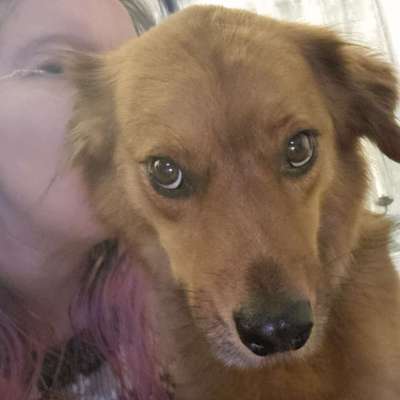 Mela's Profilbild