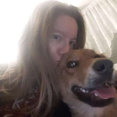 aktuelles Foto Gruppe Hunde aus dem Tierschutz