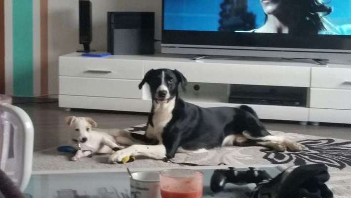 Das erste Foto-Beitrag-Bild