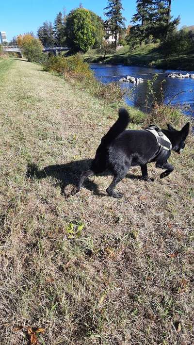 35. Handy Foto Challenge - Das nasse Element-Beitrag-Bild