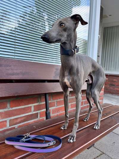 Fressen verweigern !-Beitrag-Bild