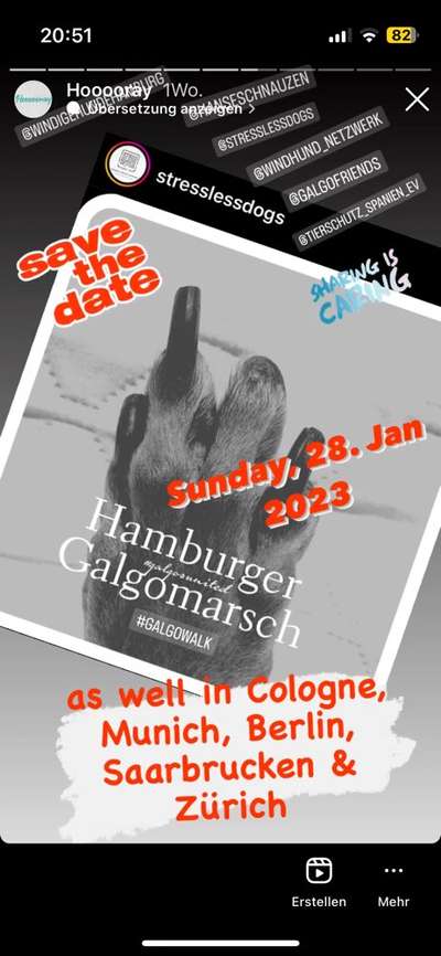 Windhunde - Treffen der besonderen Schönheiten
HERZLICH WILLKOMMEN-Beitrag-Bild