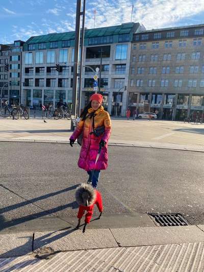 Windhunde - Treffen der besonderen Schönheiten
HERZLICH WILLKOMMEN-Beitrag-Bild