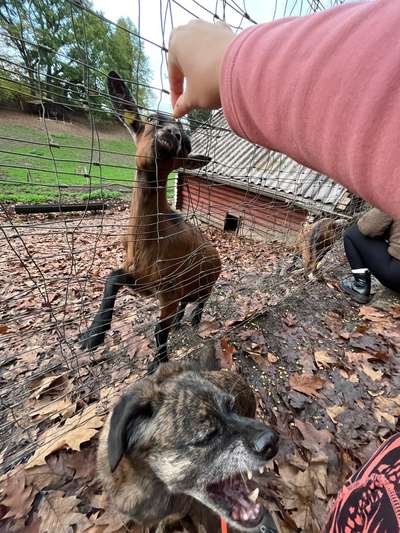 "Die eingefangene Magie des Augenblicks"-Beitrag-Bild