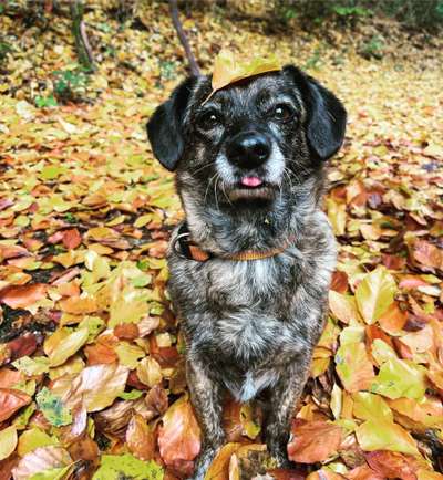 Arthrose! Nützliche Tipps-Beitrag-Bild