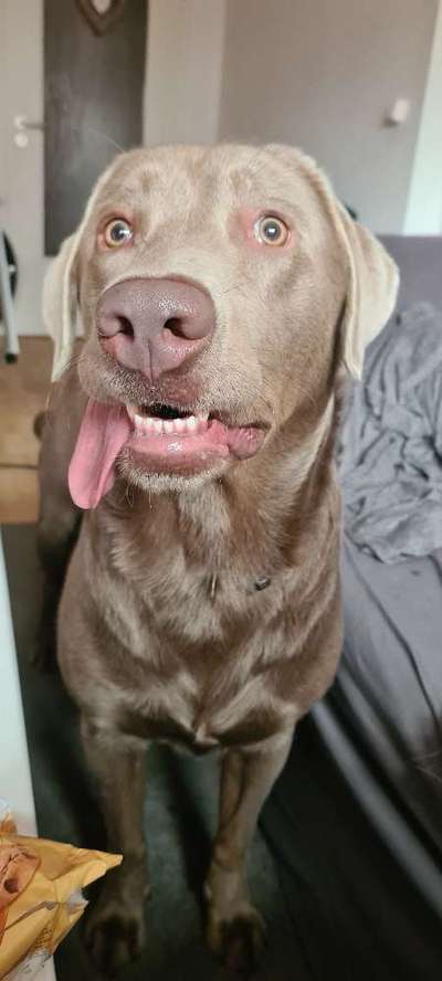 Lieblingsbild-Beitrag-Bild